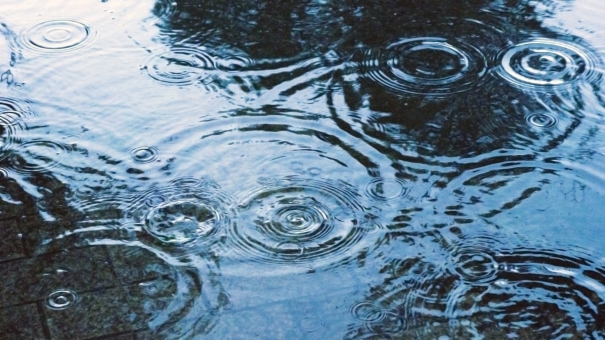 雨の匂い