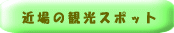 �ߏ�̊ό��X�|�b�g