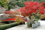 箕面公園