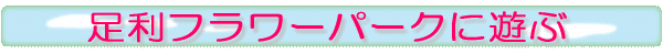 足利フラワーパークに遊ぶ
