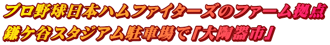 プロ野球日本ハムファイターズのファーム拠点 鎌ケ谷スタジアム駐車場で「大陶器市」