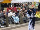 桜まつりで佐渡おけさを踊る、佐渡小町会の皆さん