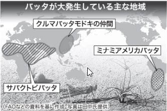 バッタ発生地域