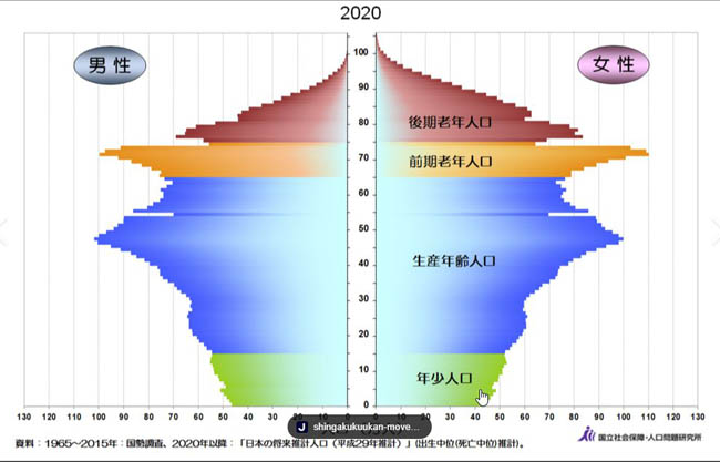 2020年年齢別人口ピラミッド