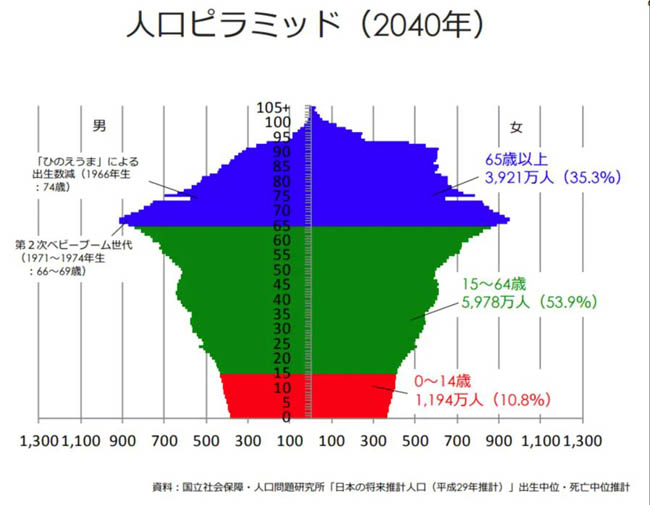 2040年人口ピラミッド推計